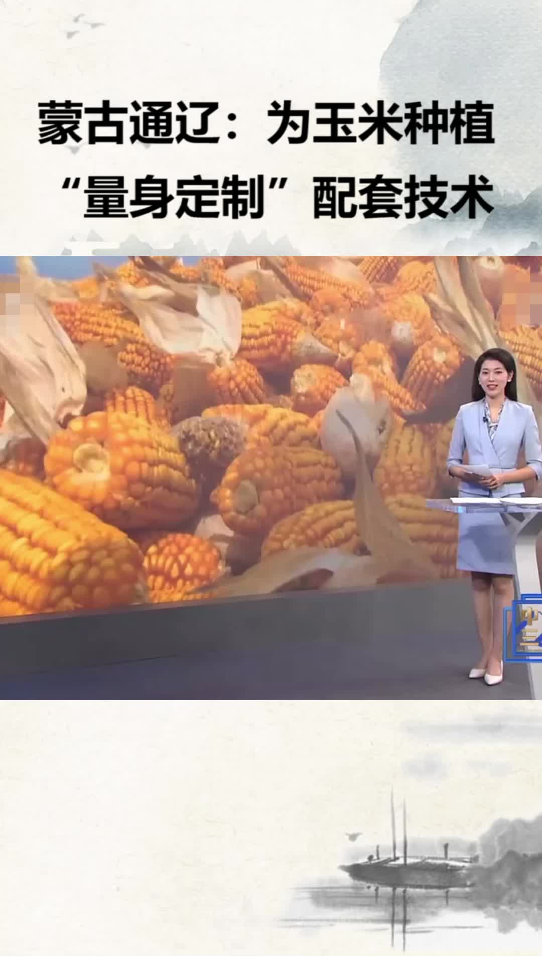 内蒙古通辽：为玉米种植“量身定制”配套技术